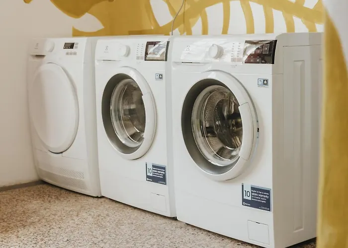 Party Zzz Auberge de jeunesse